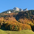 Alpstein-Herbst-20211024-01
