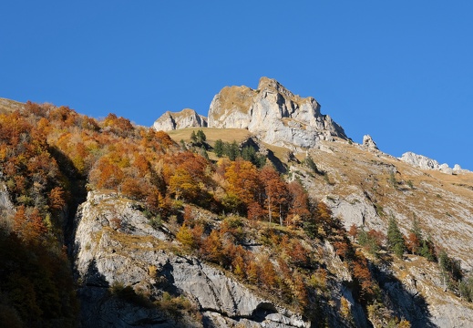 Alpstein-Herbst-20211024-04