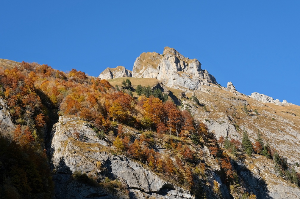 Alpstein-Herbst-20211024-04.JPG