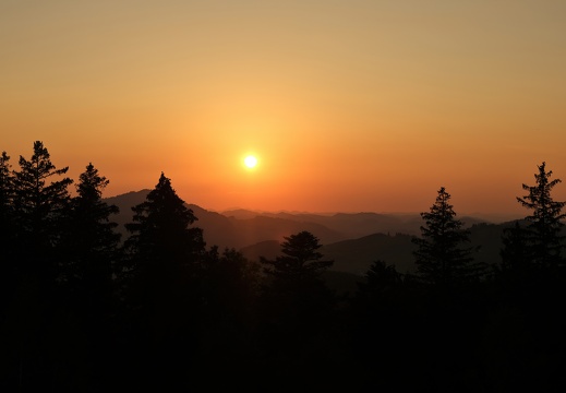 Sonnenuntergang-Hoher-Hirschberg-20230911-01